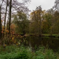 *** :: Николай Гирш *** :: Николай Гирш