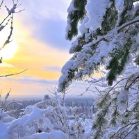 - :: Владимир Мигонькин