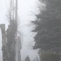 Туман :: Леонид Соснин