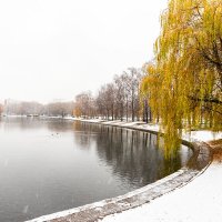 Первый снег в Москве :: Александр 