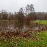 *** :: Николай Гирш