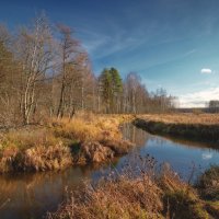 Воздух осенний прозрачен и свеж ... :: Roman Lunin