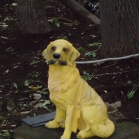 *** :: СЕРГЕЙ ФИЛОЧКИН