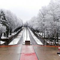 Первый снег в городе (снег выпал ночью, а к 12 часам дня растаял). :: Милешкин Владимир Алексеевич 