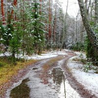Снег и лужи в лесу. :: Милешкин Владимир Алексеевич Снег и лужи в лесу. :: Милешкин Владимир Алексеевич