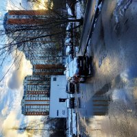 Предзимье в городе (фотодневник не юного натуралиста) :: Андрей Лукьянов