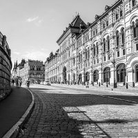 Москва монохромная. :: Владимир Мигонькин Москва монохромная. :: Владимир Мигонькин