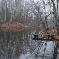 **** :: Елизавета .