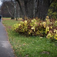 Парк :: Валерий Пославский Парк :: Валерий Пославский