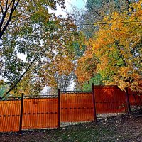 Осень. :: Владимир Драгунский Осень. :: Владимир Драгунский