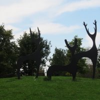 район Солнечный. Екатеринбург :: Елена Шаламова район Солнечный. Екатеринбург :: Елена Шаламова