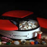 С Международным днём пуговицы!  :-) :: Андрей Заломленков