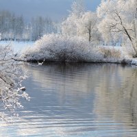 В парке по-зимнему красиво :: Мария Васильева В парке по-зимнему красиво :: Мария Васильева