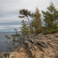 Берег Ольхона :: Марина Фомина.