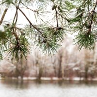 Ноябрь :: Александр 