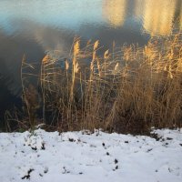 Парк Героев-пожарных. Ноябрь :: Наталья Герасимова