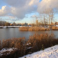 Парк Героев-пожарных. Ноябрь :: Наталья Герасимова