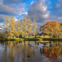 Красоты золотой осени :: Oleg S 