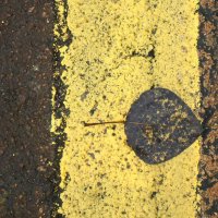 вмазался :: sv.kaschuk 