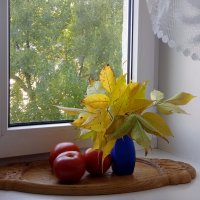 ... :: Елена Пономарева