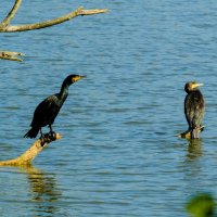 "Почему отвернулась от меня?" :: Георгий А