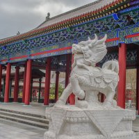 Чудный зверь. :: Николай 