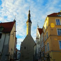 Вид на Ратушу :: Aida10 