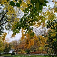 Осенняя вуаль! :: Надежда 