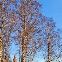 Казанская. Тутаев. Осень. :: Михаил Свиденцов