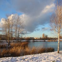 Парк Героев-пожарных. Ноябрь :: Наталья Герасимова Парк Героев-пожарных. Ноябрь :: Наталья Герасимова