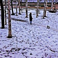 Утро ноября...С песиком-крошкой в сквере! :: Владимир 