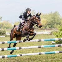 Конкур :: SanSan 