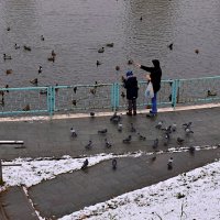 Наступает тяжёлое время для пернатых. :: Татьяна Помогалова