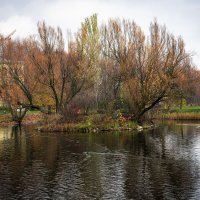 Краски осени :: Валерий Пославский Краски осени :: Валерий Пославский