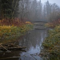 **** :: Елизавета .