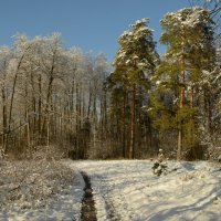 Отличный подарок-прекрасная погода. :: Николай 