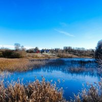 Ноябрь на Смоленщине (репортаж из поездок по области). :: Милешкин Владимир Алексеевич 