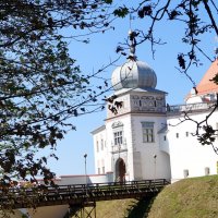Замок в Гродно :: Gal` ka Замок в Гродно :: Gal` ka