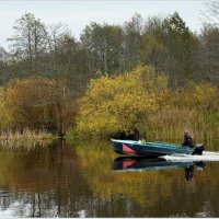 По Дейме. :: Валерия Комова