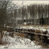 Первый снежок :: Aleksandr Gal