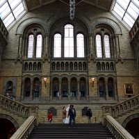 В музее естествознания :: Ольга В музее естествознания :: Ольга