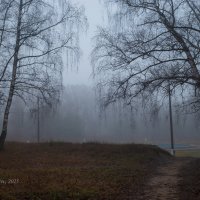 Утро в серебряной дымке :: Александр Синдерёв