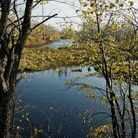 Осень :: MILAV V