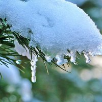 15 ноября :: Светлана 