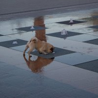 лакатель фонтана :: Serega Alucard X2