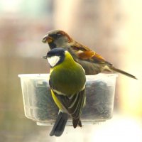 С надеждой смотрят в будущее... :: Юрий Куликов