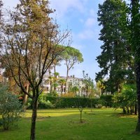 Санаторий Авангард Сочи :: Tata Wolf