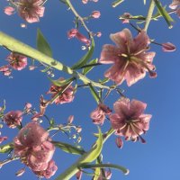 С другой точки зрения :: Ольга Савельева 