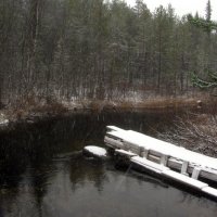 Зима начинается.. :: Галина Полина