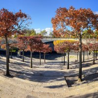 Краснодар. Парк Галицкого. :: Galina 